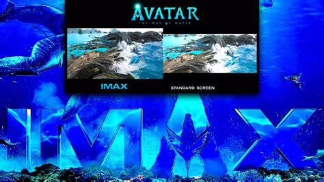 imax versus standard
